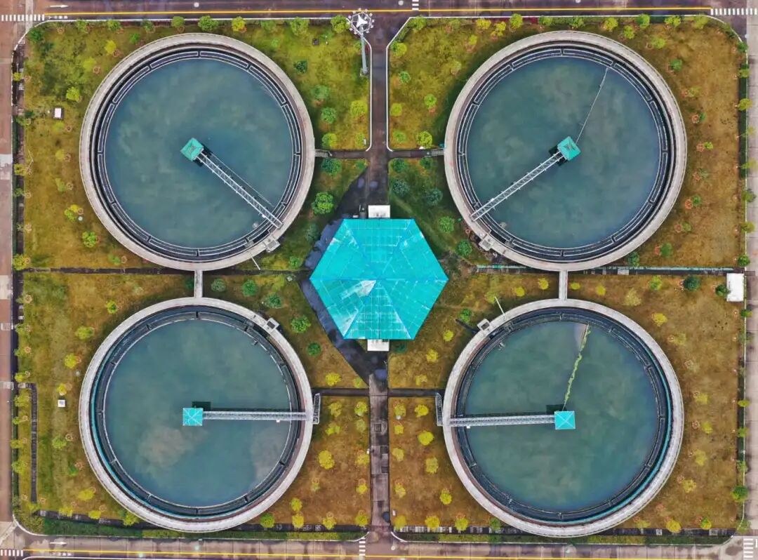 1769325183668705.jpg 12-02-2.jpg