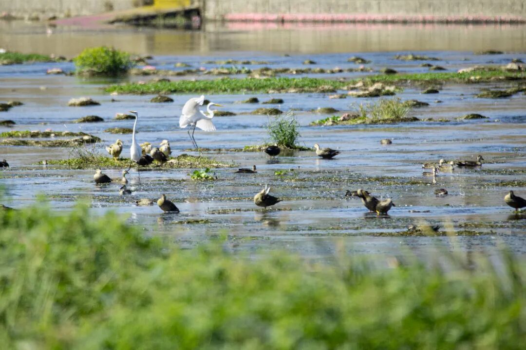 1769325193303958.jpg 12-02-3.jpg